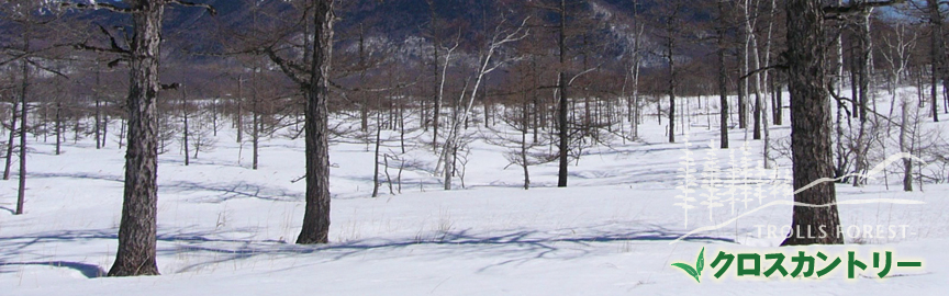 ����������ȥ꡼